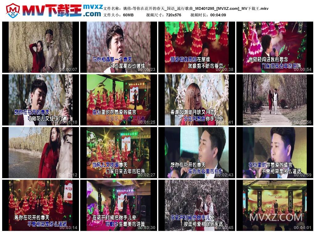 姚伟-等你在花开的春天_国语_流行歌曲_MD401295
